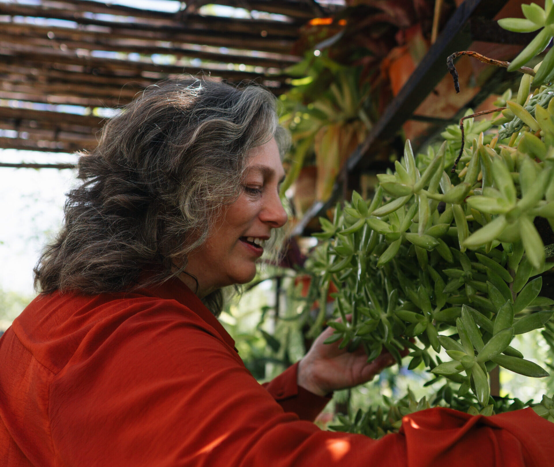 Radically Change Your Life: How Plants Can Transform Your Mind, Home, and Spirit