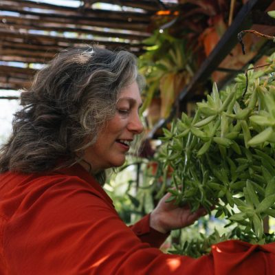 Radically Change Your Life: How Plants Can Transform Your Mind, Home, and Spirit